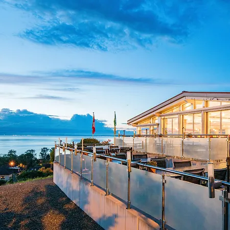 Western Rebstock Rorschacherberg