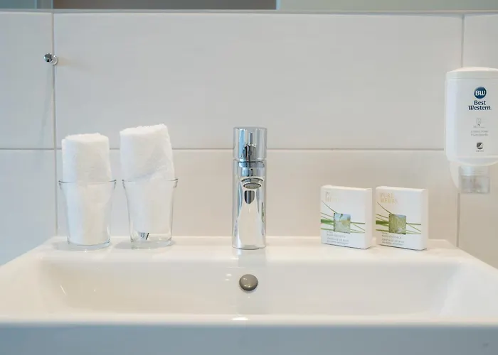 Hotel Western Rebstock 3*