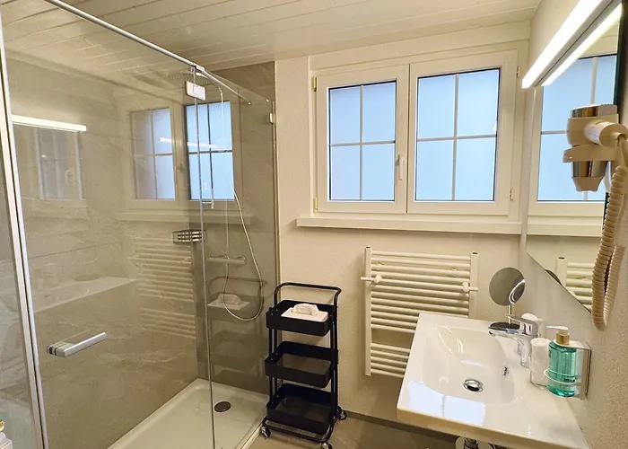 Hotel Western Rebstock 3*