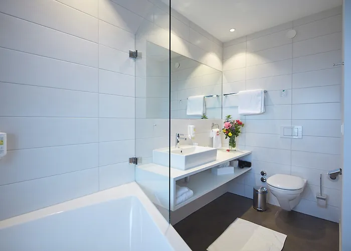 Hotel Western Rebstock 3*